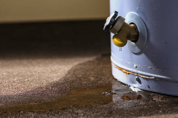 Best Emergency water damage restoration  in Cold Spring, KY