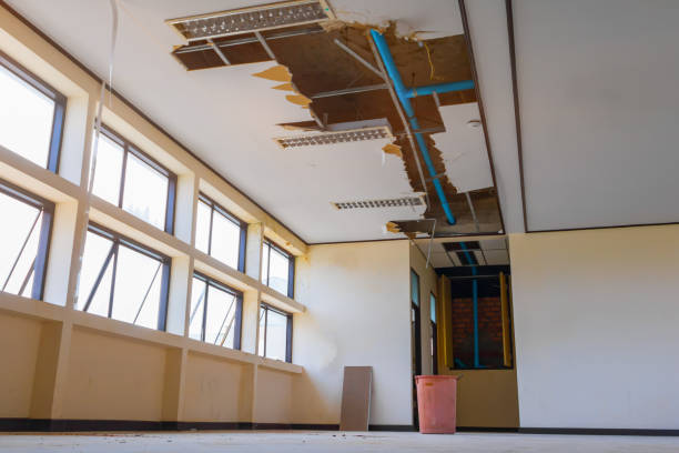 Best Water damage restoration cost  in Cold Spring, KY