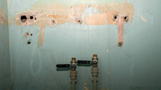 Best Local water damage restoration  in Cold Spring, KY