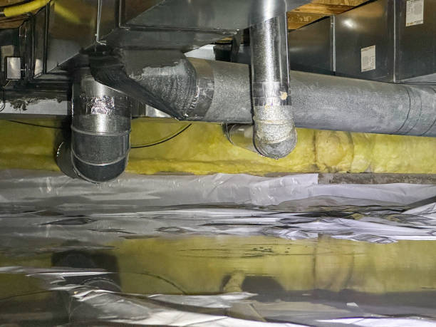 Best Water damage restoration near me  in Cold Spring, KY