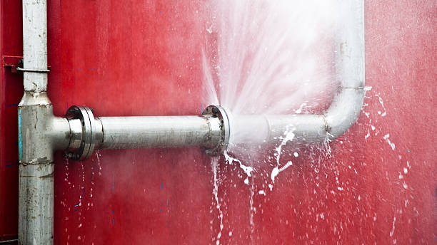 Best Mold removal after water damage  in Cold Spring, KY